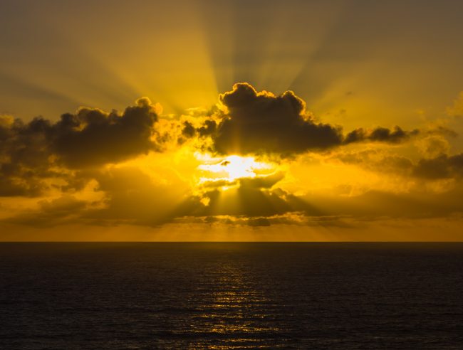 holger-link-6euHTWOzAQM-unsplash
