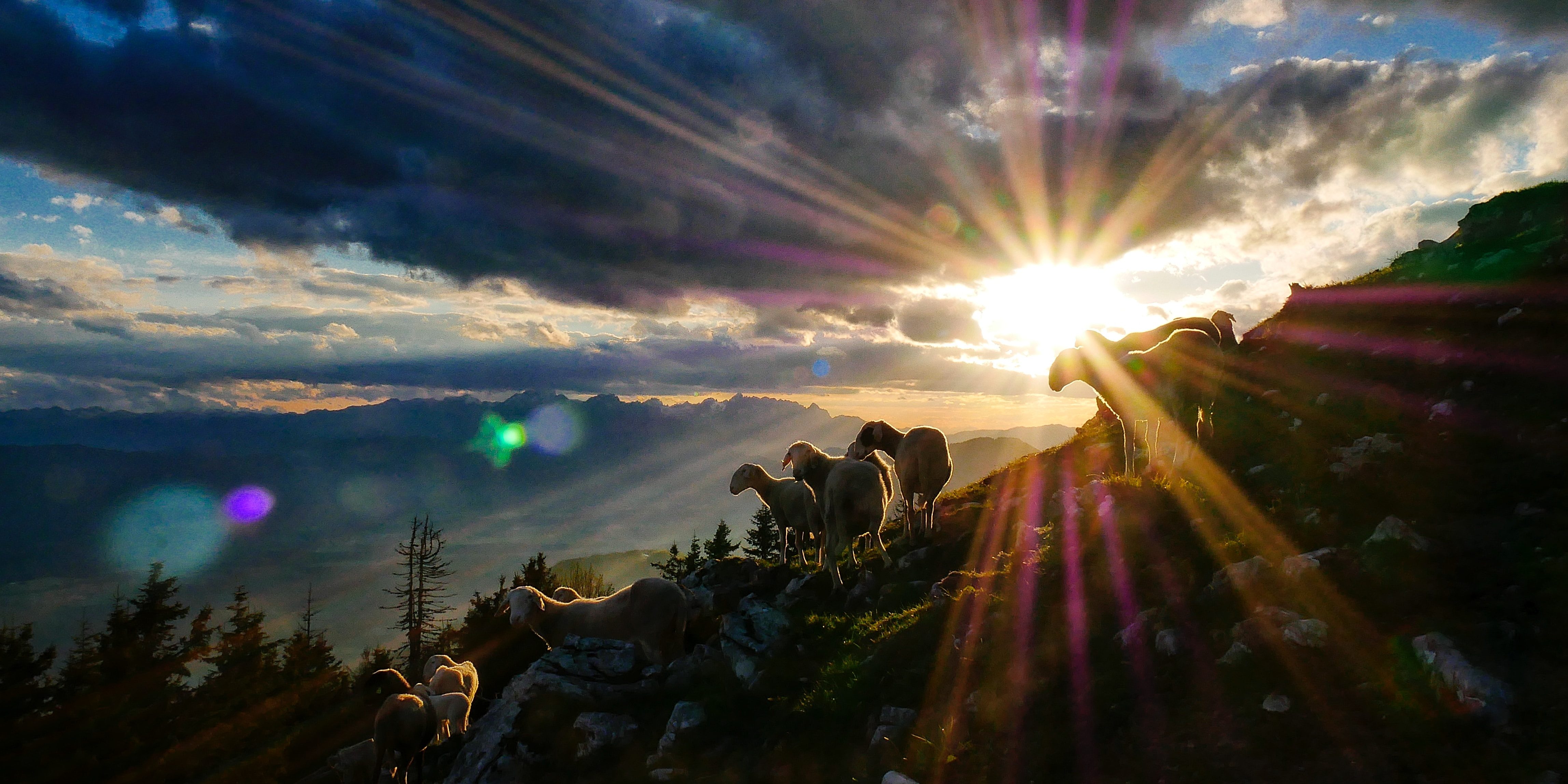jaka-skrlep-kfv21yEf-6Y-unsplash