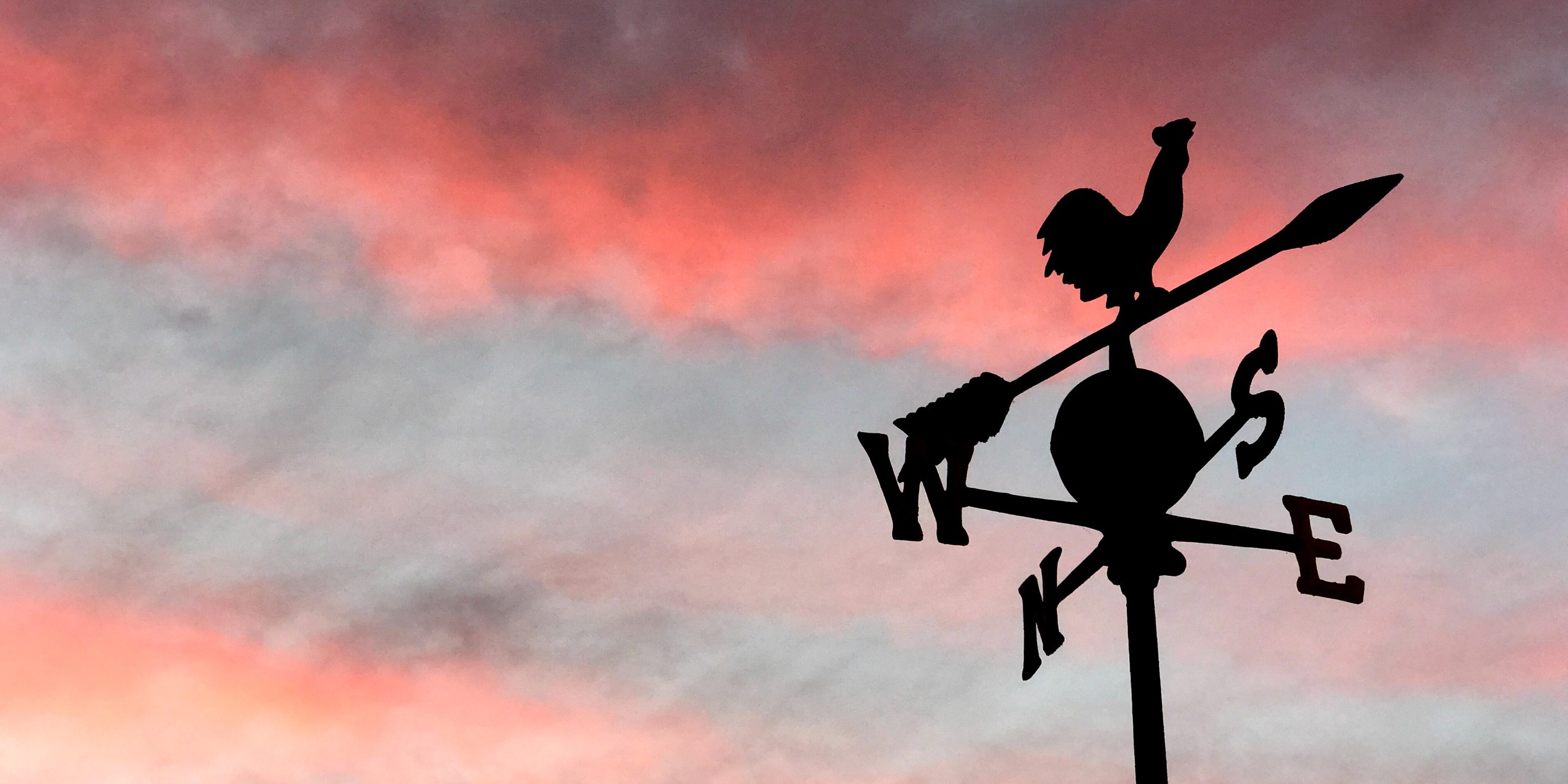 nicole-wilcox-zAWs-hKChYA-unsplash