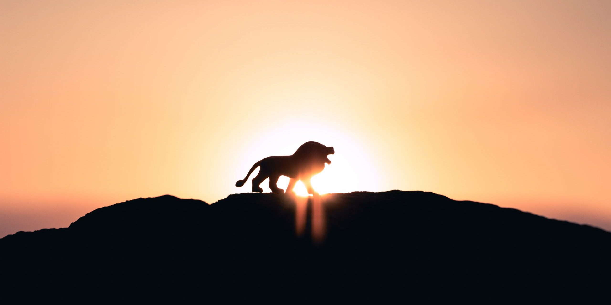 ivan-diaz-aMBhrrveocw-unsplash