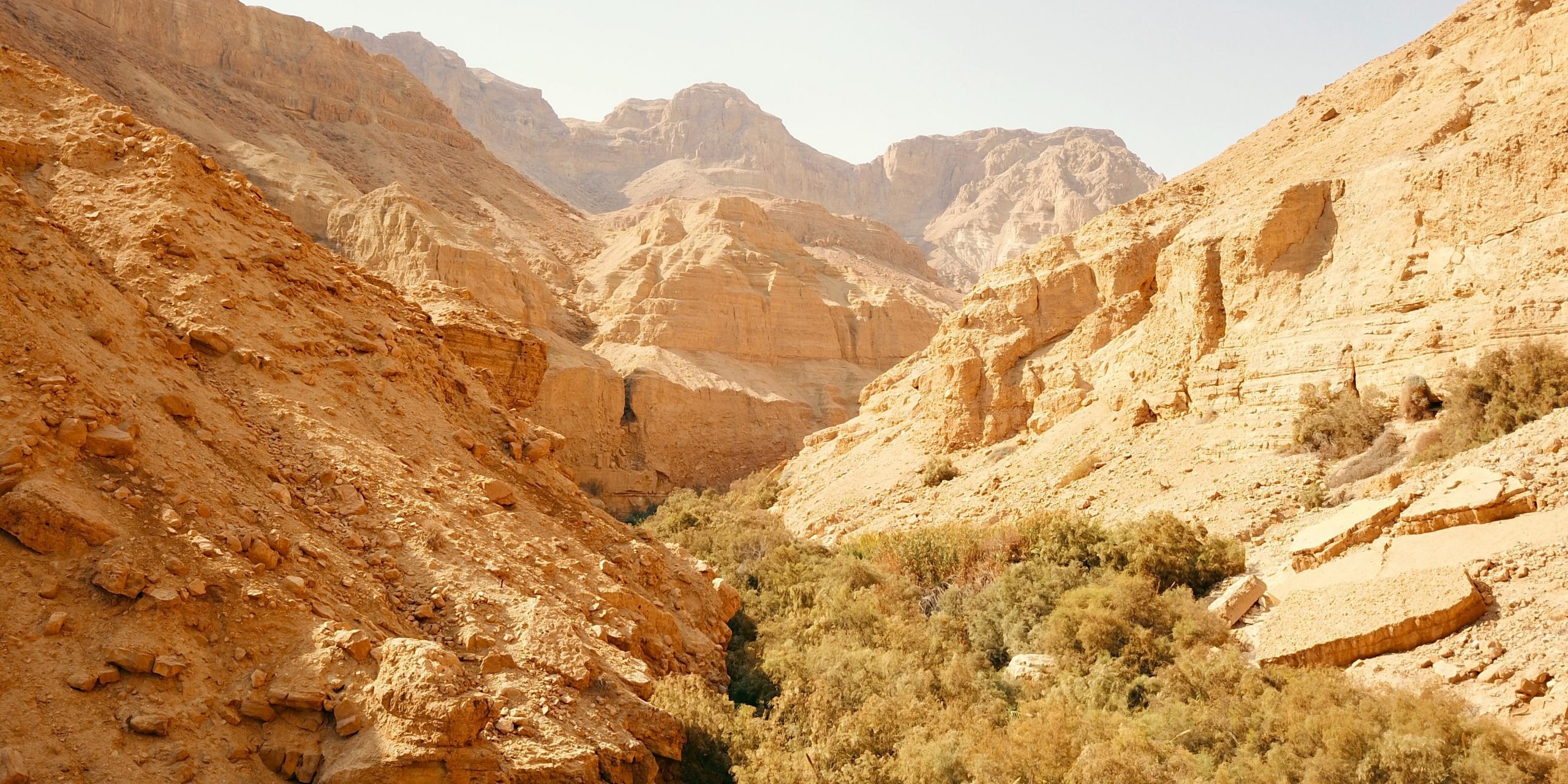 eli-levit-ut1ijd53ZWQ-unsplash