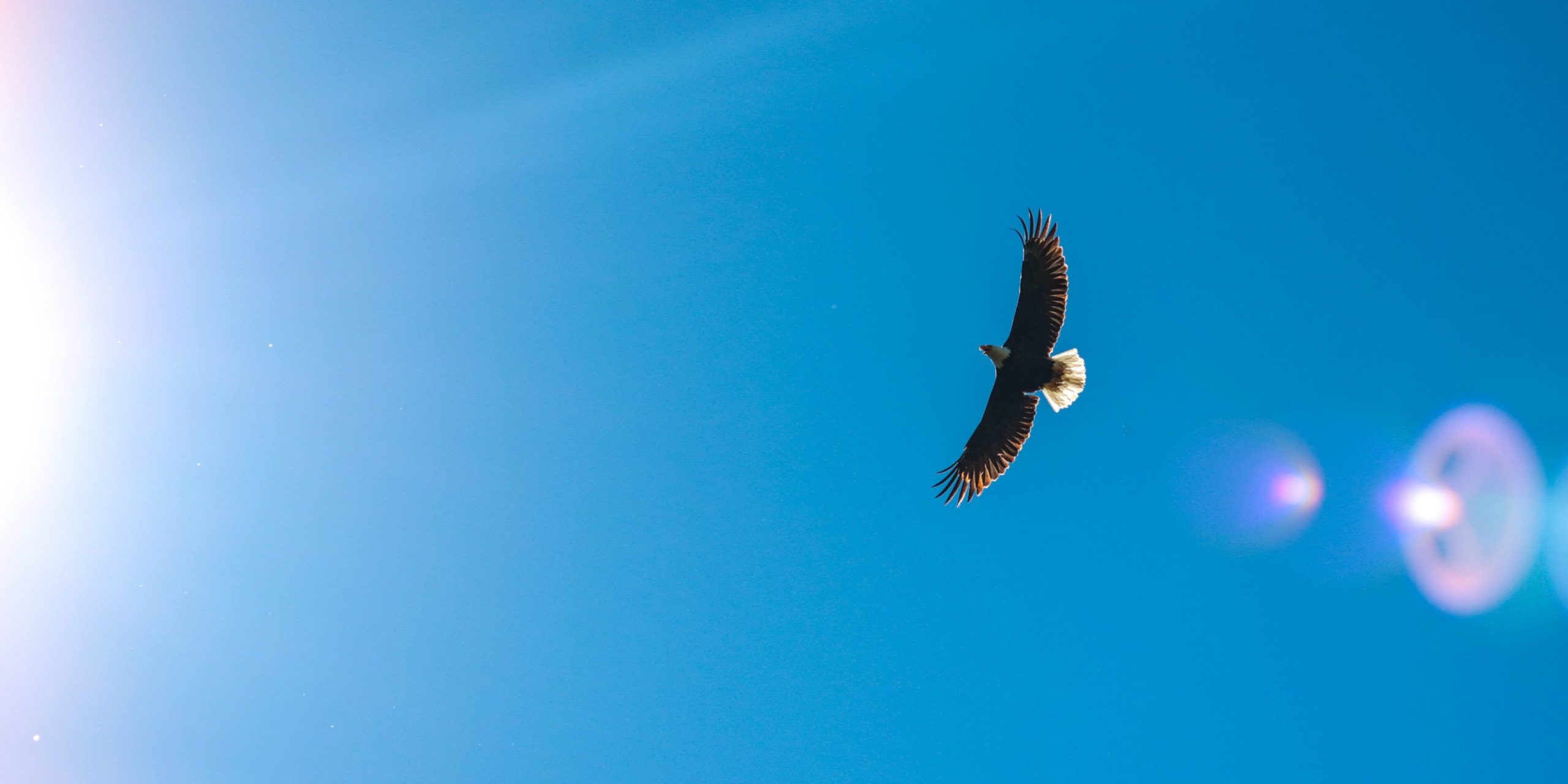 kreated-media-D17j_v2EDb0-unsplash