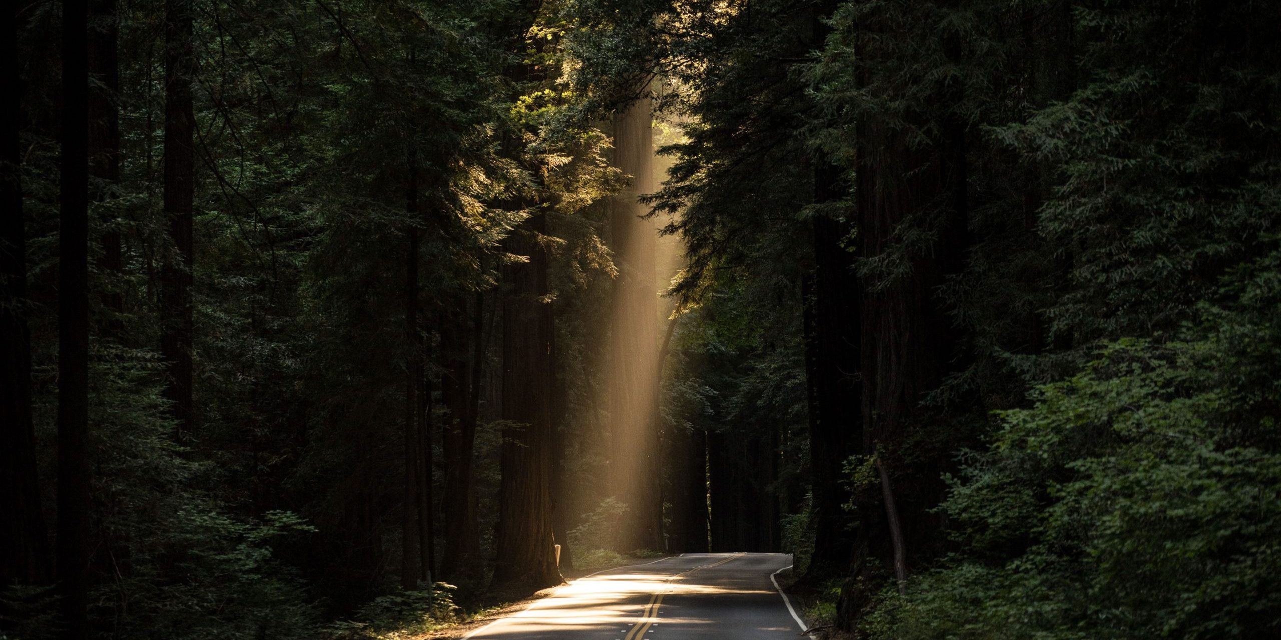 john-towner-3Kv48NS4WUU-unsplash