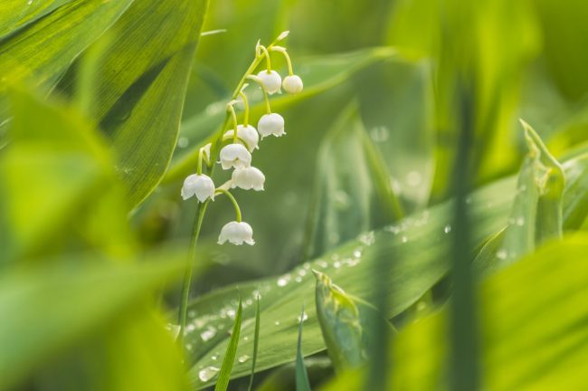 vitolda-klein-Gkz8EyzQIeo-unsplash