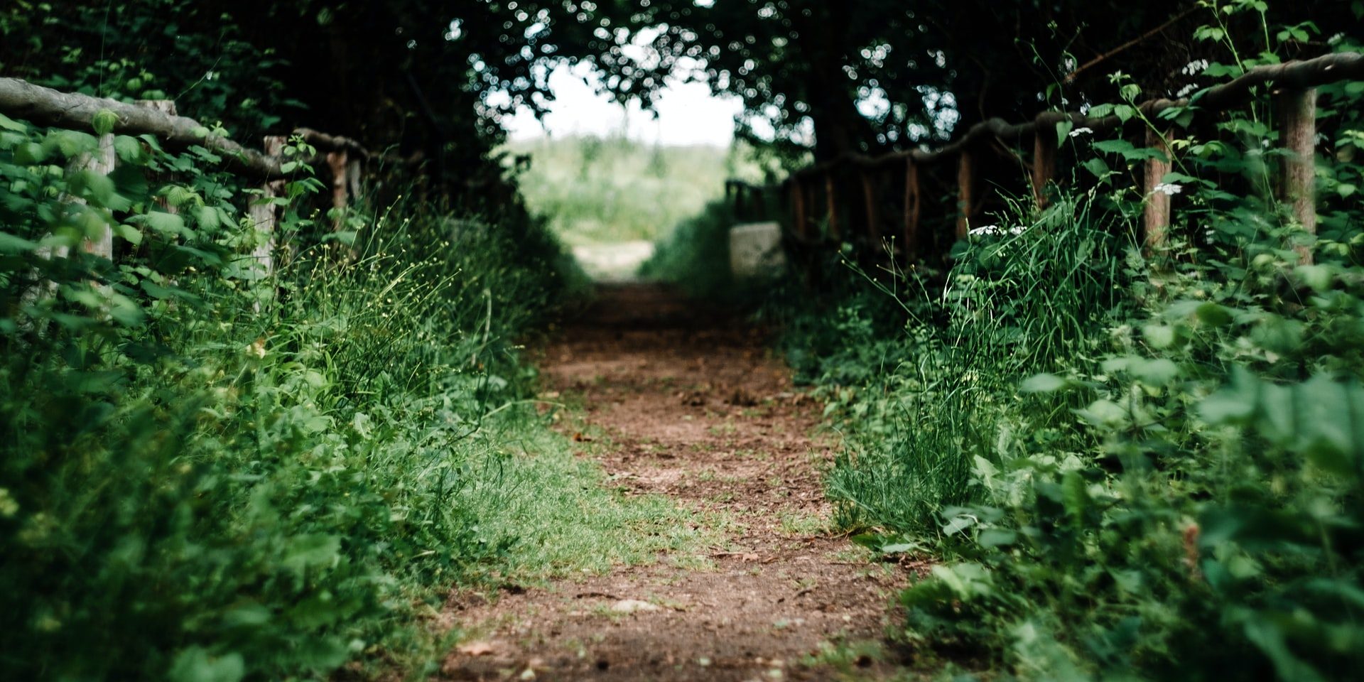 maria-teneva-rHlaMHAzfYM-unsplash