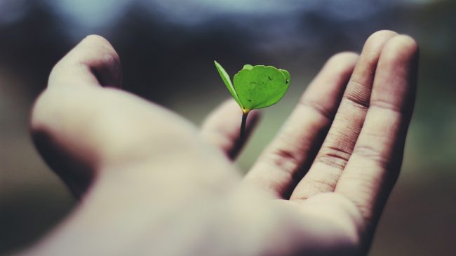 ravi-roshan-_AdUs32i0jc-unsplash