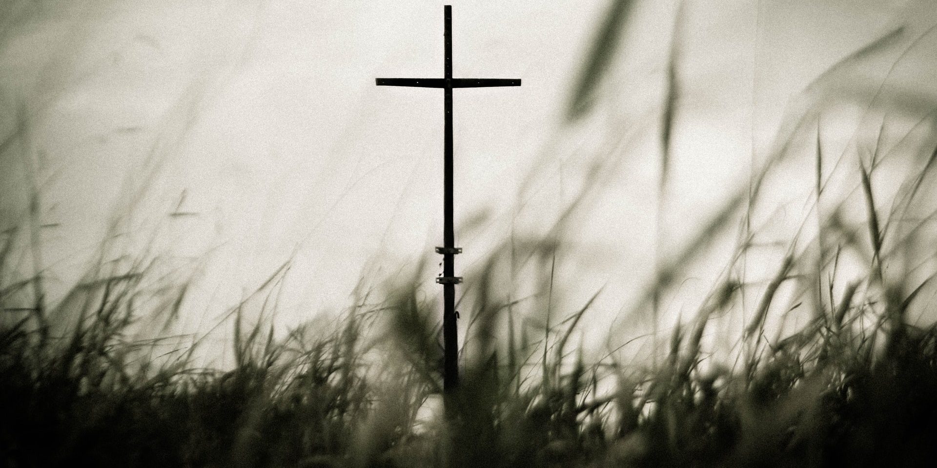 allef-vinicius-LnFhkTQpyQs-unsplash