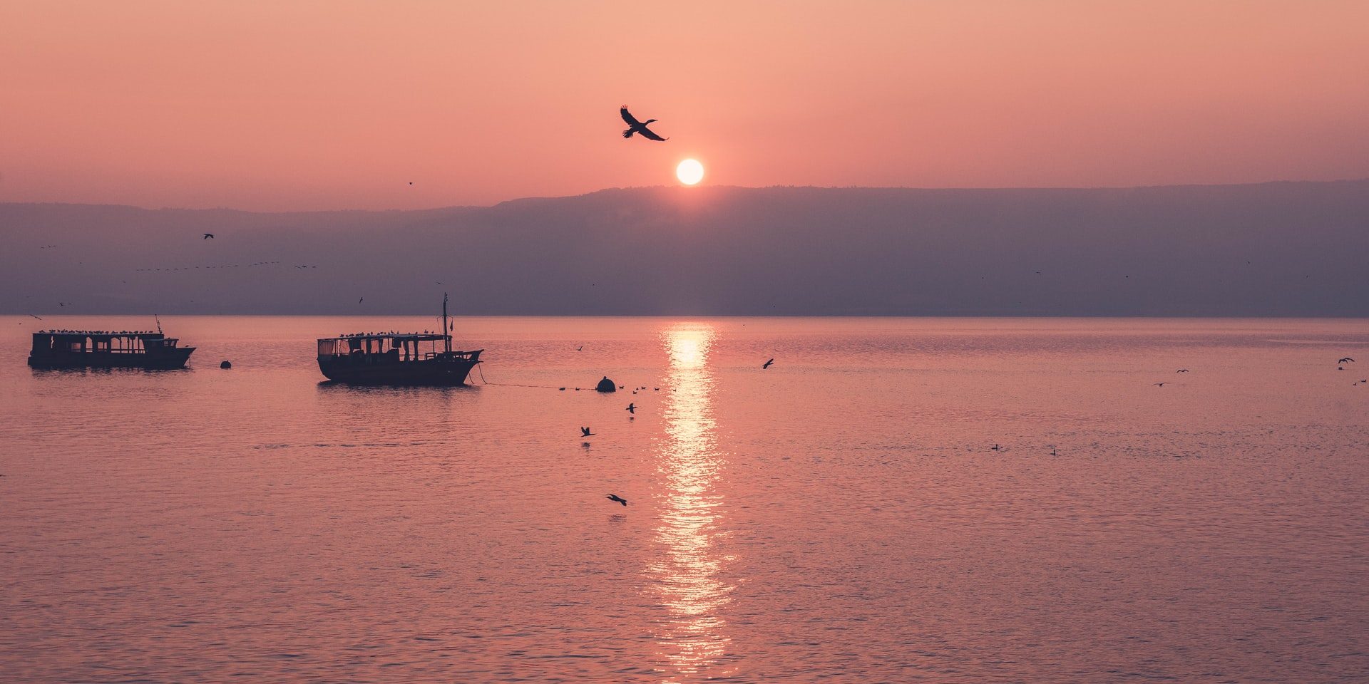 dave-herring-wzsAEYNb-VI-unsplash