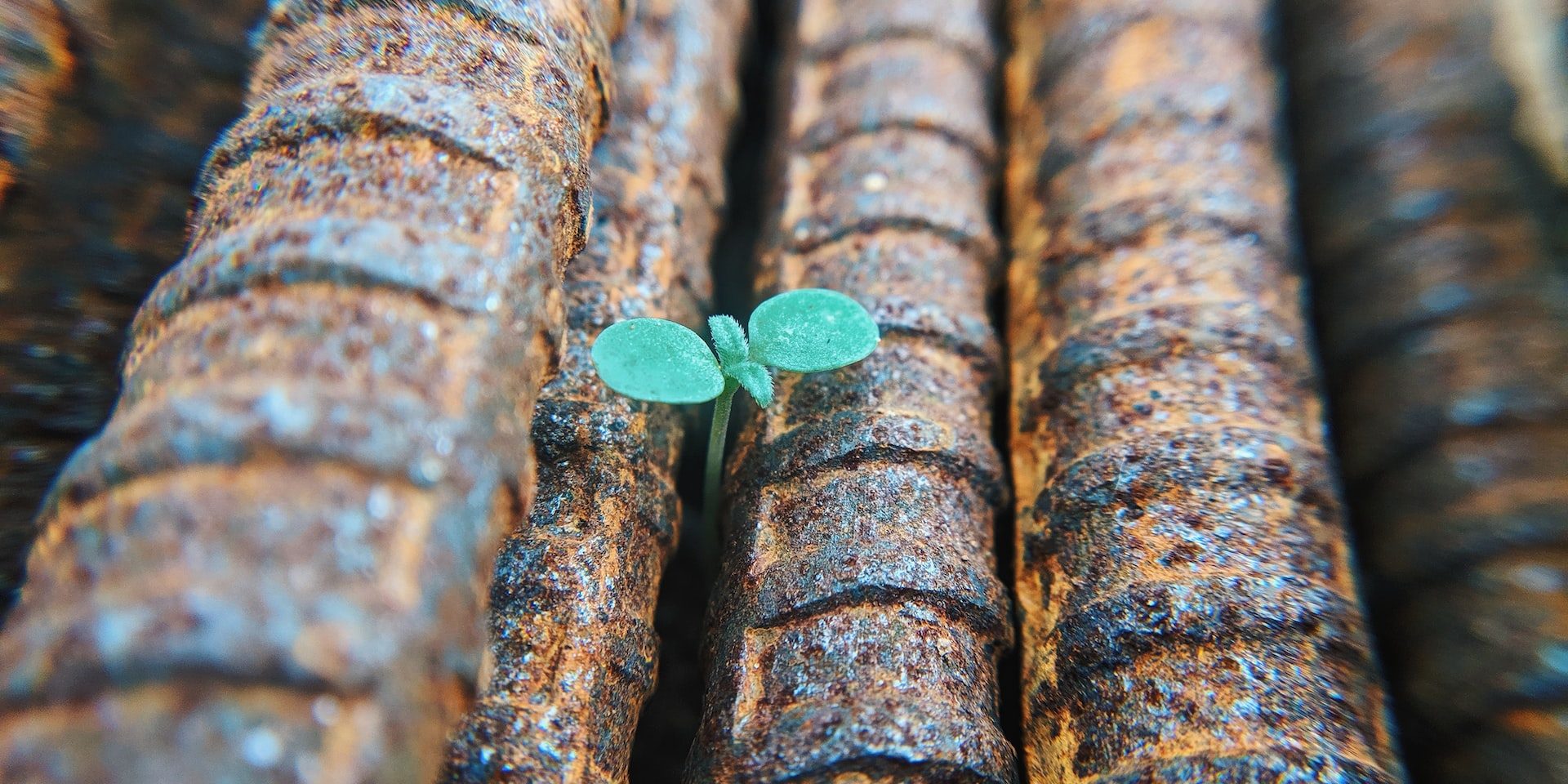 faris-mohammed-nYGVN45DOHg-unsplash