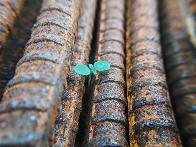 faris-mohammed-nYGVN45DOHg-unsplash