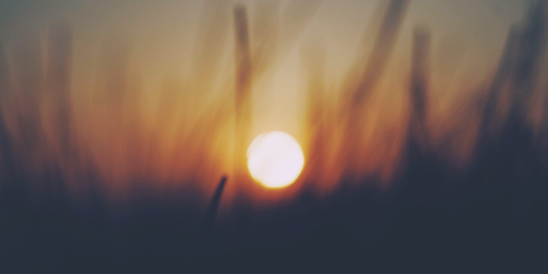 dan-cook-YtKzcV4Y_Dk-unsplash