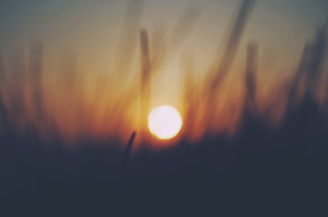 dan-cook-YtKzcV4Y_Dk-unsplash