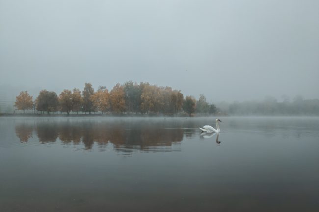 kyryl-levenets-3bkILUXVUzc-unsplash