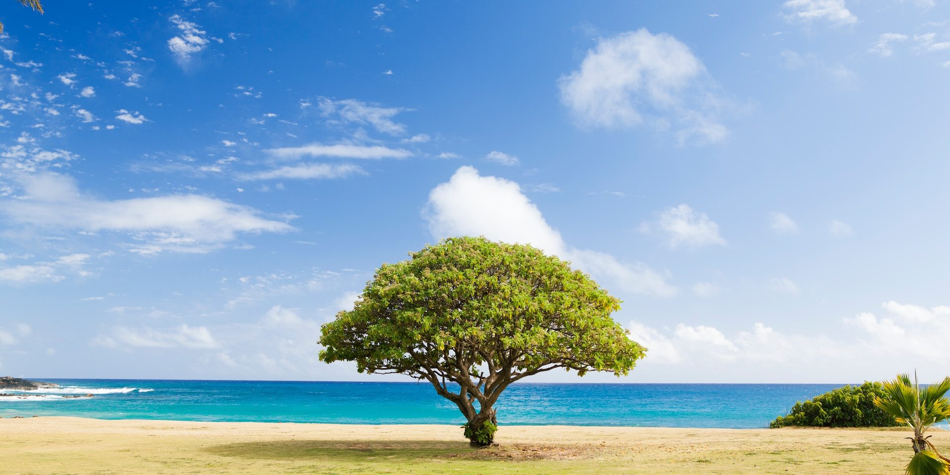 todd-quackenbush-XBxQZLNBM0Q-unsplash