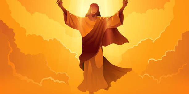 istockphoto-1587343369-612×612