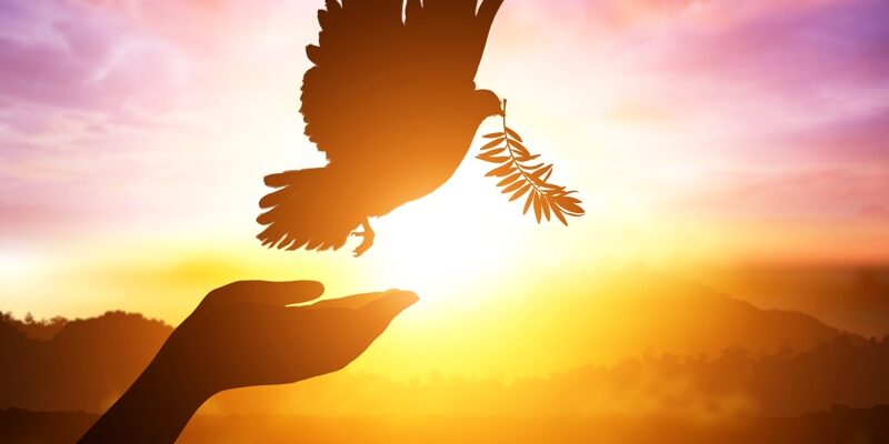 shutterstock_485260954