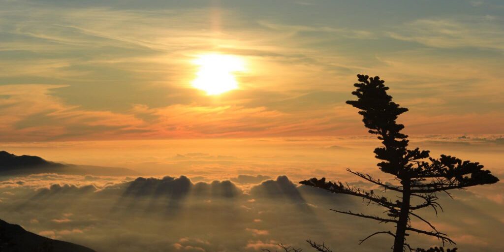 473531_348685118547001_691070405_o-1024×683