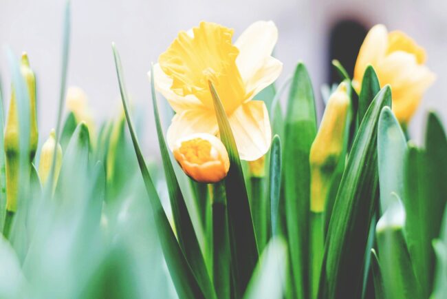 tim-gouw-4l9qmFImnnI-unsplash